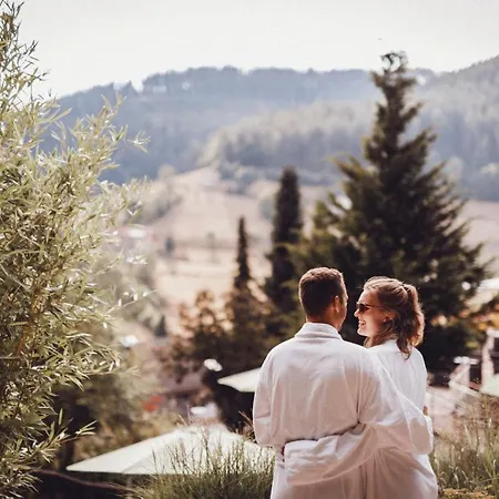 ホテル Wellnesshotel Sonnenhalde Tonbach 4*